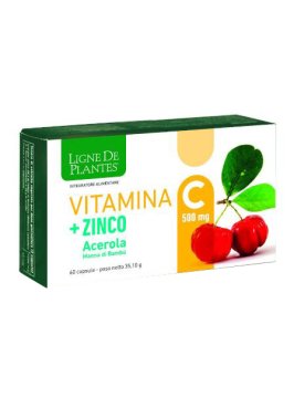 VITAMINA C 500MG+ZI/AC/BA60CPS