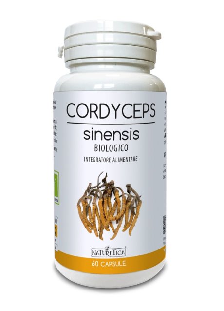 CORDYCEPS SINENSIS 60CPS