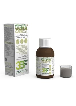 VEGETAL CARE GEL 100G