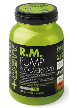 RM PUMP RECOVERY MIX ARA 500G