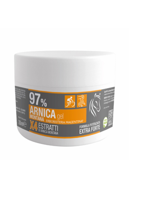 ARNICA 97% GEL 250ML ERB MAGENTI