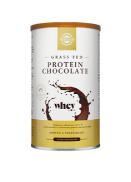 PROTEIN CHOCOLATE 377G