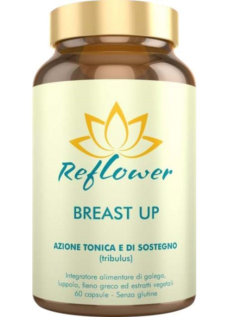 REFLOWER BREAST UP 60CPS