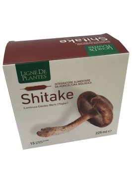 LIGNE SHITAKE BIO 15AMP 15ML