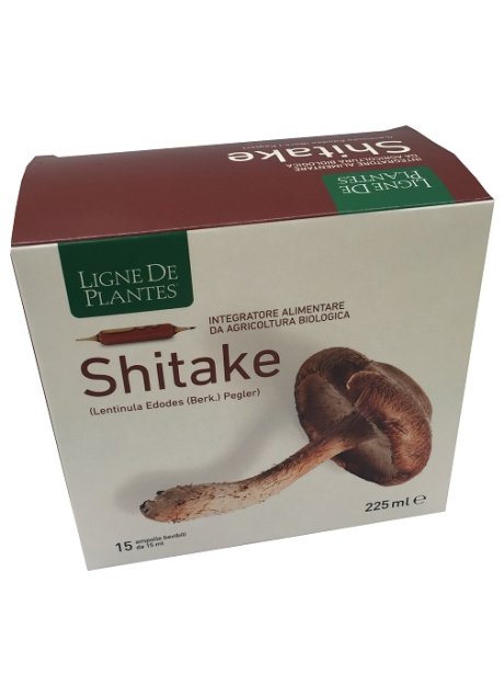 LIGNE SHITAKE BIO 15AMP 15ML