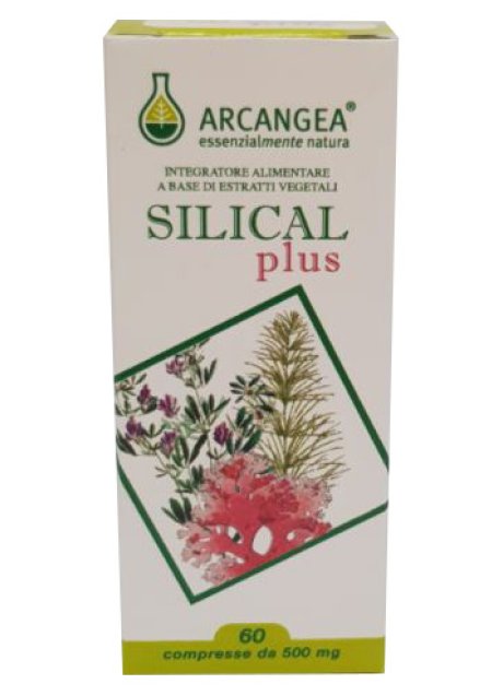 SILICAL PLUS 60CPR ARCANGEA