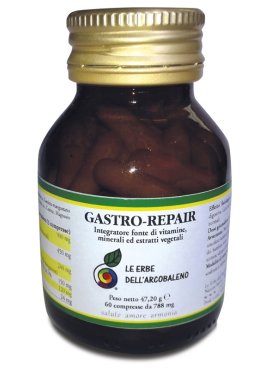 GASTRO REPAIR 60CPR