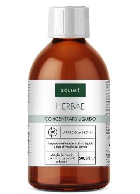 CONCENTRATO LIQUIDO ARTIC500ML