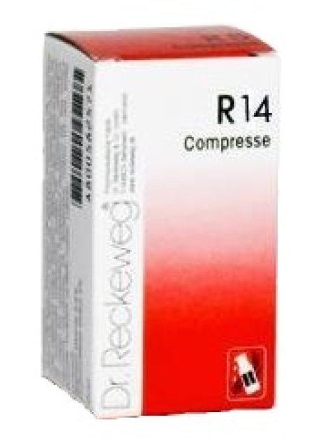 RECKEWEG R14 100 COMPRESSE