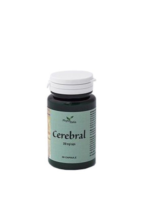 CEREBRAL AYURVED 60CPS PHYTOIT