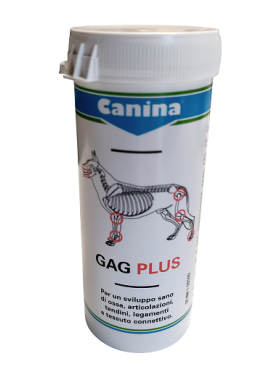 GAG PLUS 120CPR 200G VET