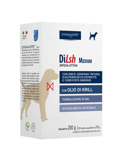 DILSH MEDIUM CANI 20BUST