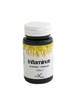 INFLAMINUS 60CPS PHYTOIT