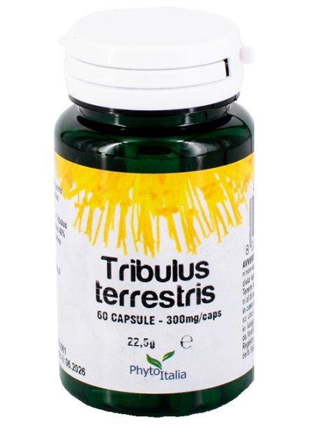 TRIBULUS TERRESTRIS 60CPS