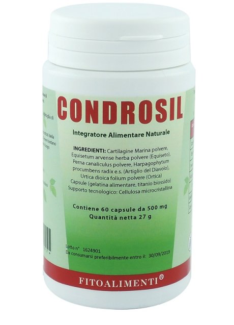 CONDROSIL 60CPS EURONATUR