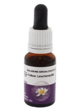 YELLOW LESCHENAULTIA 15ML AUST