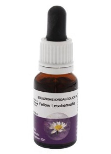 YELLOW LESCHENAULTIA 15ML AUST