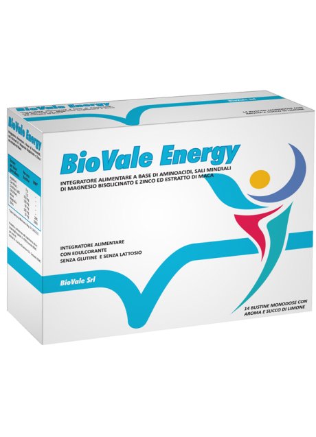 BIOVALE ENERGY 14BUSTINE