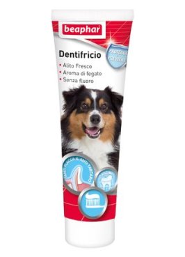 DENTIFRICIO 100G