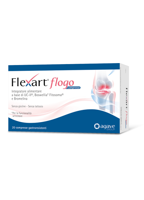 FLEXART FLOGO 20CPR