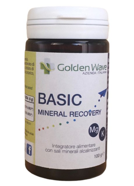 BASIC MINERAL RECOVERY 100 G