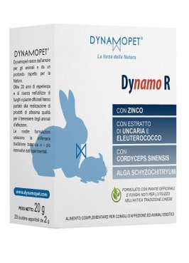 DYNAMO R 20BUST 2G