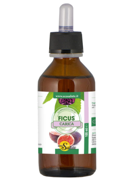 FICUS CARICA GEMMODERIV 100ML