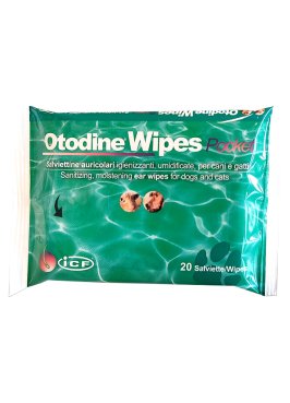 OTODINE WIPES POCKET 20PZ