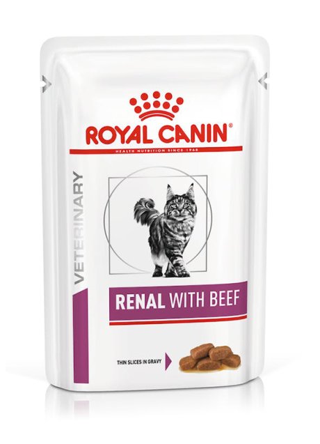 VHN W CAT RENAL BEEF 12 BUSTINE 85 G