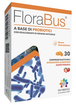 FLORABUS 30CPR MASTIC