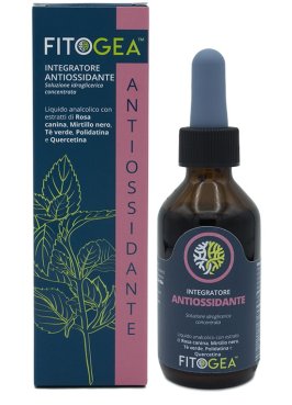 FITOGEA ANTIOSSIDANTE 100ML