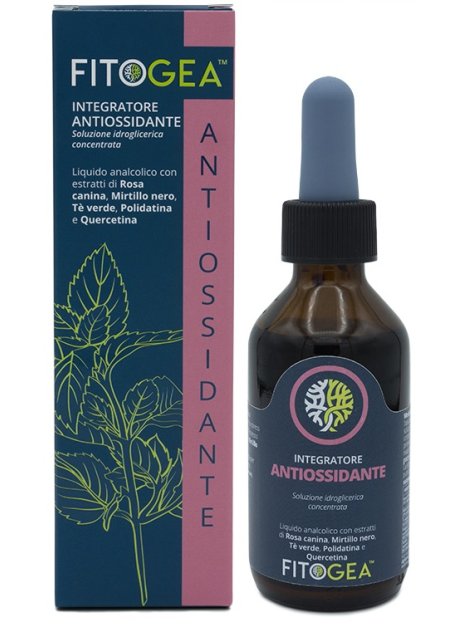 FITOGEA ANTIOSSIDANTE 100ML