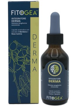 FITOGEA DERMA 100ML