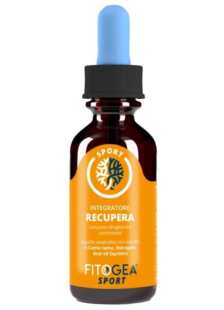 FITOGEA RECUPERA 100ML