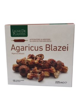 AGARICUS BLAZEI BIO 15AMP 15ML