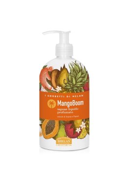 I SORBETTI MANGOBOOM SAP 500ML