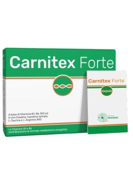 CARNITEX FORTE 14BUST