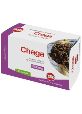 CHAGA FUNGO ES 60CPS