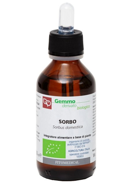 SORBO MG BIO 100ML