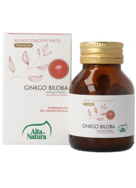 GINKGO BILOBA 100CPR 900MG