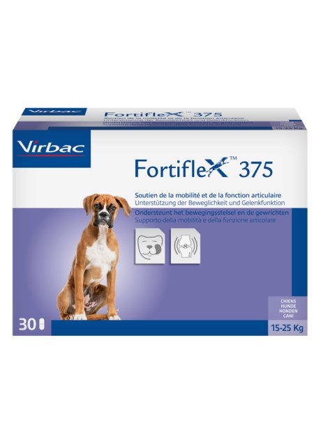 FORTIFLEX 375MG 30CPR