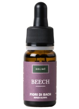 BEECH 10ML