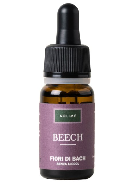 BEECH 10ML