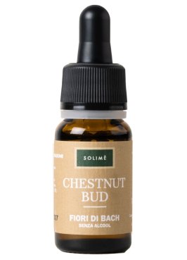 CHESTNUT BUD 10ML