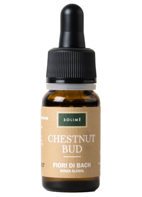 CHESTNUT BUD 10ML