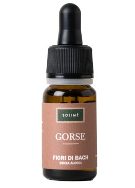 GORSE 10ML