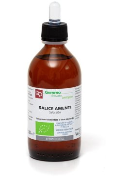 SALICE AMENTI MG BIO 200ML