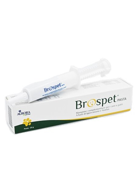 BROSPET PASTA 20G