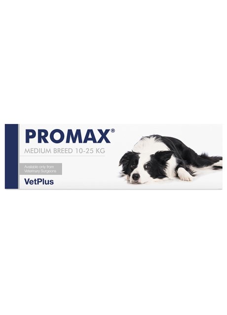 PROMAX MEDIUM BREED 18ML