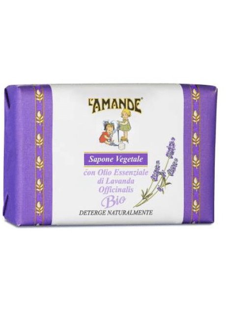 LAMANDE MARS SAP VEG LAVANDA